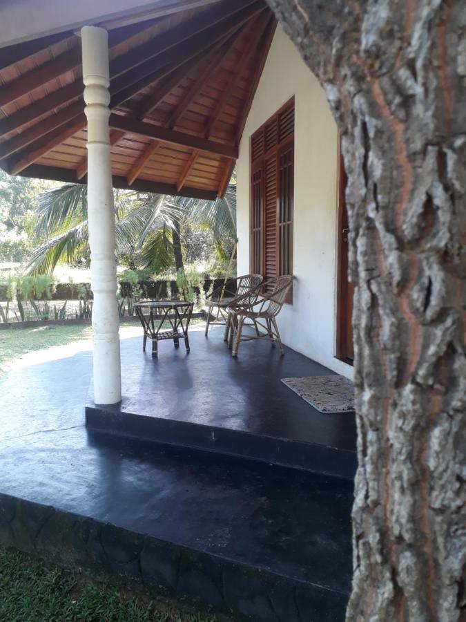 Turtles View Resort Tangalle Kültér fotó