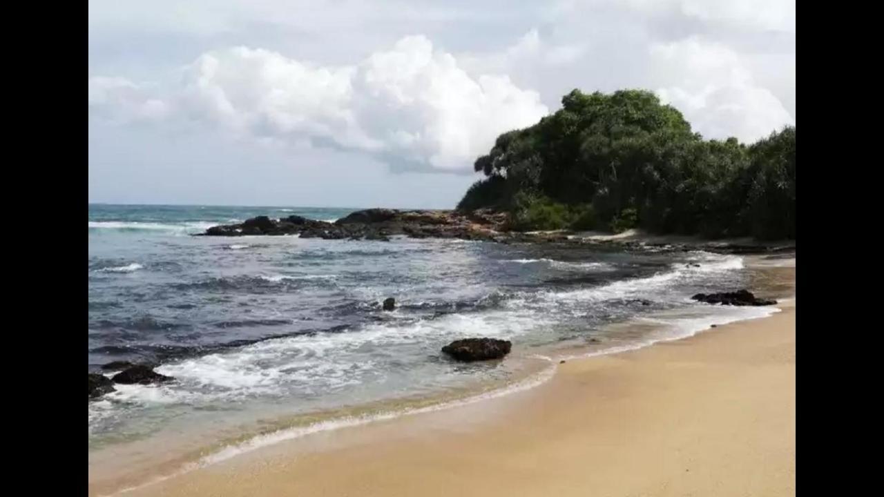Turtles View Resort Tangalle Kültér fotó